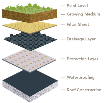 The Falk roof has multiple layers, with only the plant layer visible. Below it are layers of growth-supporting nutrients and materials designed to keep moisture from seeping into the building. 