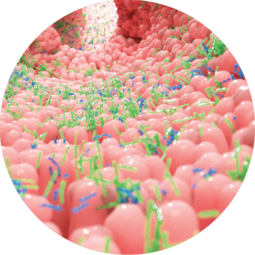 a field of pink and red balls with green balls interspersed.