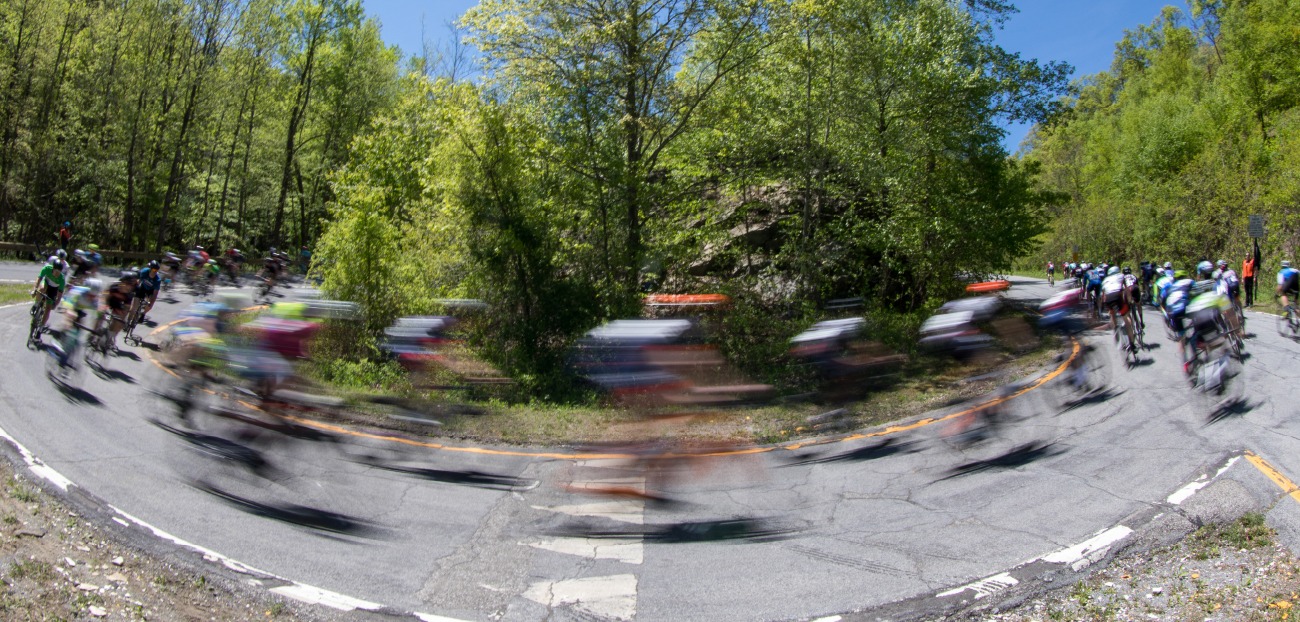 Cyclists whirl around trees in a bend in the road.