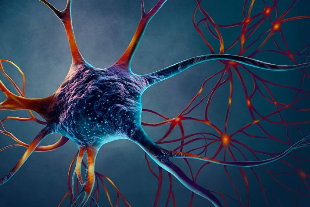 Fire in the Brain: Neuroinflammation | Einstein Magazine